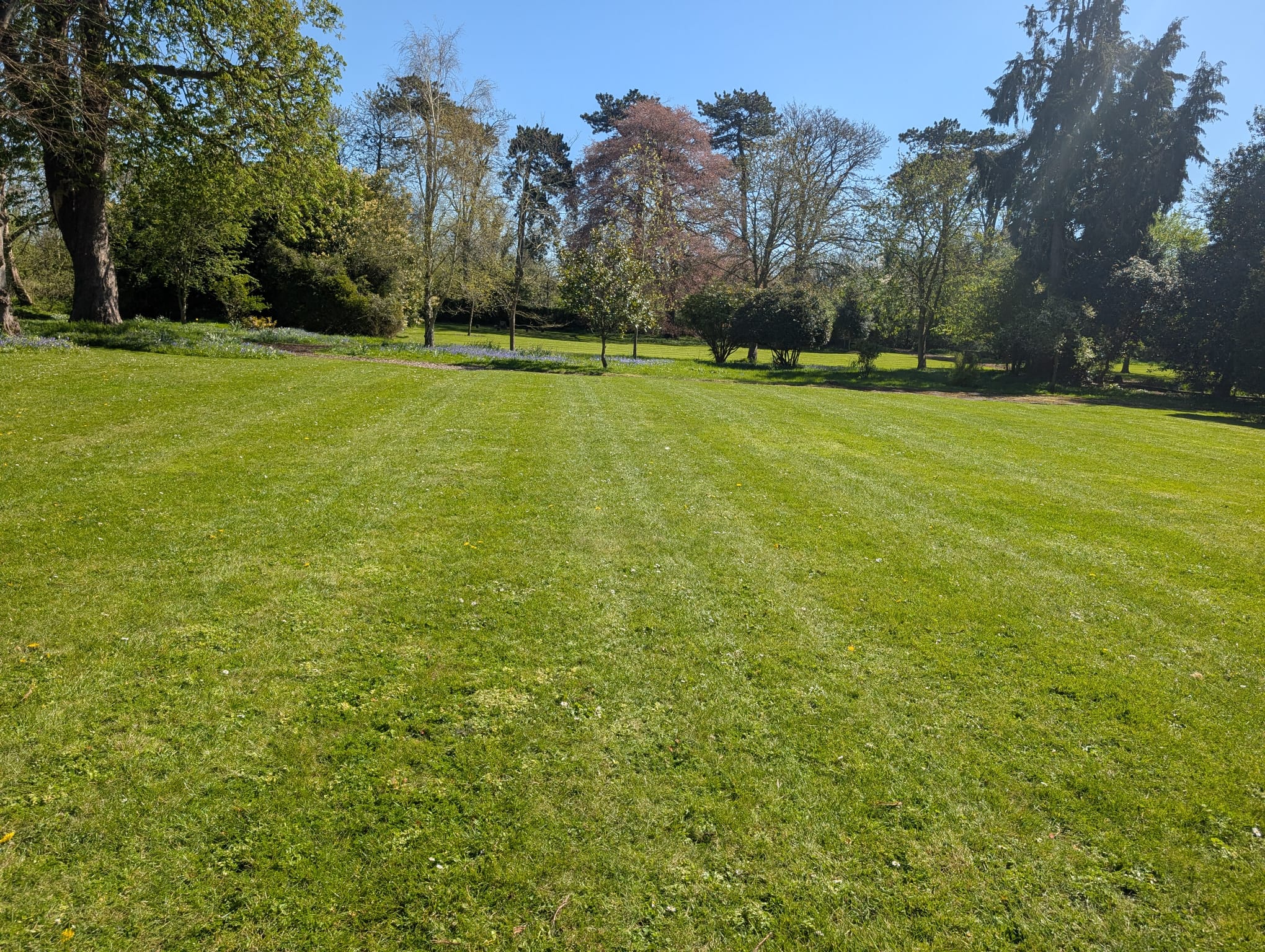 Routine Grass Cutting
